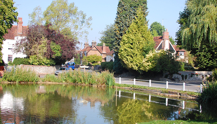 Buriton, Hampshire C: Trevor Harris